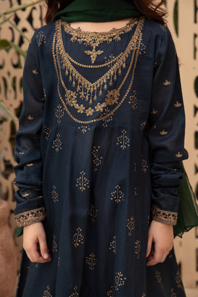 2 Piece Embroidered Lawn Suit