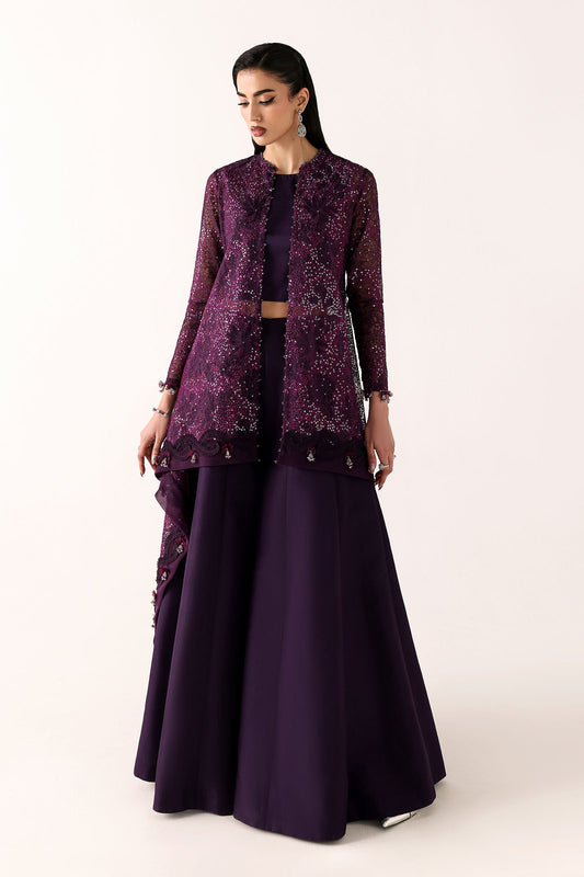 Embroidered Organza Fabric (2Pcs)